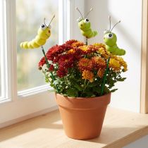 Artikel Houten rups op stok groen, geel 8cm 24 st