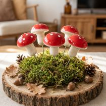 Artikel Decoratieve paddenstoelen voor het plakken van vliegenzwammen op draad Ø2,5cm 36 st