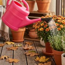 Artikel Roze gieter, 5 liter