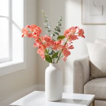 Artikel Orchidee Mokara Zalm 50cm 6 st