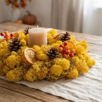 Artikel Rendiermos Geel 400g