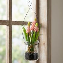 Artikel Druivenhyacint kunstroze in glas 16cm