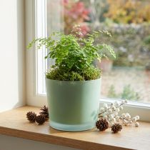 Artikel Glazen bloempot groene plantenbak glazen kuip Ø14.5cm H12.5cm