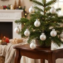Artikel Mini kerstballen glas wit glanzend/mat Ø2,5cm 22 stuks
