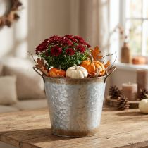 Artikel Decoratieve pot met handvatten, plantenemmer, metalen container, zilverkleurig, verweerd staal, Ø17cm H16,5cm