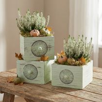 Artikel Plantenbak sierlade shabby groen 15-23cm set van 3