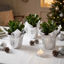 Artikel Mini bloempotjes, zilverkleurig, geschenkverpakking, Ø4,5 cm, H7 cm, 8 stuks