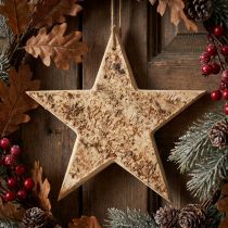 Artikel Houten sterren decoratieve decoratieve hanger rustiek decoratief hout Ø20cm