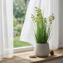 Artikel Quaking Grass Kunstgras Kunstpotplant 36cm
