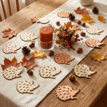 Artikel Tafeldecoratie herfst strooidecoratie egelhout B4cm H3cm 72 st