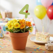 Artikel Aantal pluggen verjaardag 4 bloempluggen hout 27,5cm 16 st