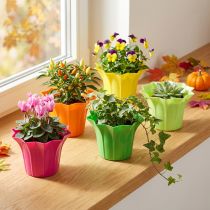 Artikel Kunststof plantenbak, kleurrijk assorti. Ø9cm 10 stuks