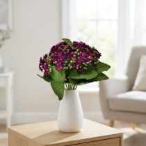 Artikel Flaming Käthchen Kalanchoë kunstpaars 24cm