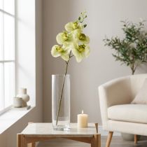 Artikel Orchidee Kunst Geelgroene Phalaenopsis 85cm