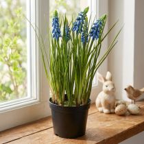 Artikel Kunsthyacinten in een blauwe pot 24cm