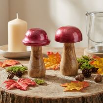 Artikel Houten champignons decoratieve champignons hout rood glans Ø6cm H10cm 2st