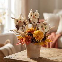 Artikel Uil decoratieve bloempluggen herfstdecoratie naturel Ø4cm H8cm 4st