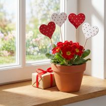 Artikel Hartjes rood en wit gestippelde bloempluggen hout 6×5cm 18 st