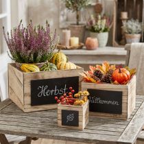 Artikel Rustieke houten dozen met krijtbordoppervlak – naturel en zwart, diverse maten – veelzijdige opbergoplossing – set van 3