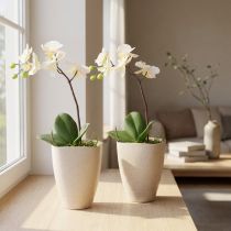 Artikel Orchideeënpot, bloempot, plastic, beige gemêleerd, 13,5 x 13 cm, H16,5 cm, 2 stuks