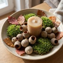 Artikel Bellgum belfruit capsule fruit natuurlijke decoratie bruin 500g