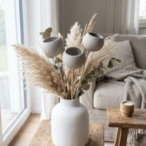 Artikel Droogbloemen decoratieve stolp op steel grijs 37cm 3 st