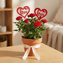 Artikel Bloemsteker hart rood houten siersteker Love 7cm 12st