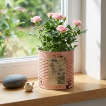 Artikel Decoratieve bloempot van zalmkleurig metaal, plantenbak Ø15,5 cm H15 cm