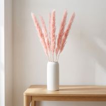 Artikel Pampasgras decoratie, pampasgras gedroogd pampasgras roze 72cm 6 st