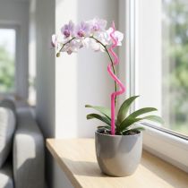 Artikel Orchideeënstok, plastic, roze, steun, orchideeënplantenstok, H64cm
