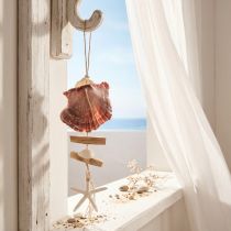 Artikel Maritieme decoratieve hanger schelp zeester Ø10–12cm 40cm