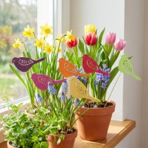 Artikel Lentedecoratie bloempluggen houten vogeldecoratie 28cm 18 st