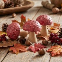 Artikel Houten paddenstoelen decoratieve paddenstoelen tafeldecoratie herfstrood naturel 5×6cm 9st