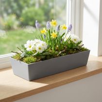 Artikel Veelzijdige grijze plastic plantenpot – rechthoekig, 37 cm – ideaal voor tuinieren binnen en buiten.