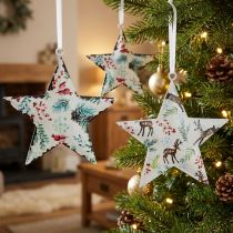 Artikel Kerstversiering: ster, hert, dennentakken, bessen, Ø8cm, set van 6 decoratieve hangers, kerstboomversiering