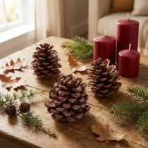 Artikel Set van 3 grote natuurlijke dennenappels (8-9 cm) – decoratieve pinienzapfen