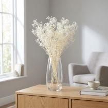 Artikel Gypsophila Wit Gedroogde Grassen Decoratie Crème 65-70cm 100g