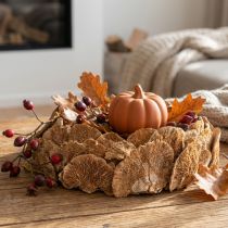Artikel Boomspons natuurlijke decoratieve paddenstoelen gedroogd 6cm 1kg