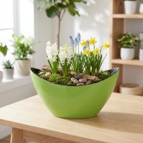 Artikel Plantenboot groen sierschaal ovaal 20cmx9cmx12cm