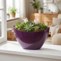 Artikel Plantenboot sierschaal paars 20×9cm H12cm