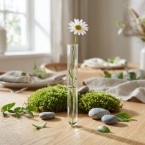 Artikel Reageerbuis mini glazen vaas bloembuis 100×10mm