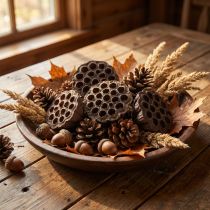 Artikel Lotusbol groot 100 stuks naturel