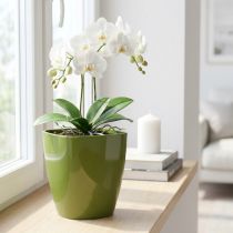 Artikel Orchideepot glanzend Ø12,5cm olijfgroen 1 stuk