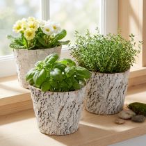 Artikel Bloempot met boomschorslook, ideaal voor een rustieke interieurstijl en plantendecoratie, 12 cm, 4 stuks