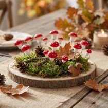 Artikel Mini paddenstoelen op draad rood witte decoratieve paddenstoelen Ø2cm 48 st