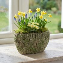 Artikel Plantenbak beton ovaal antiek look groen, bruin 24×14×13cm