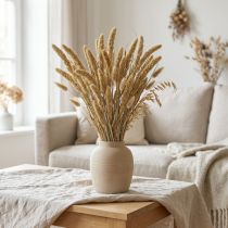 Artikel Gedroogde bloemen, gierstdecoratie, Setaria (vossengierst), 60g