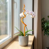 Artikel Orchideeënstok, plastic, oranje, klimhulp voor orchideeën, H64cm