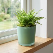 Artikel Glazen bloempot groene plantenbak glazen kuip Ø11.5cm H11cm