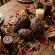 Artikel Cacaofruit, naturel, 10-18 cm, 15 stuks